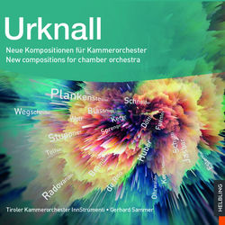 Cover of Urknall. Neue Kompositionen für Kammerorchester. New compositions for chamber orchestra by undefined
