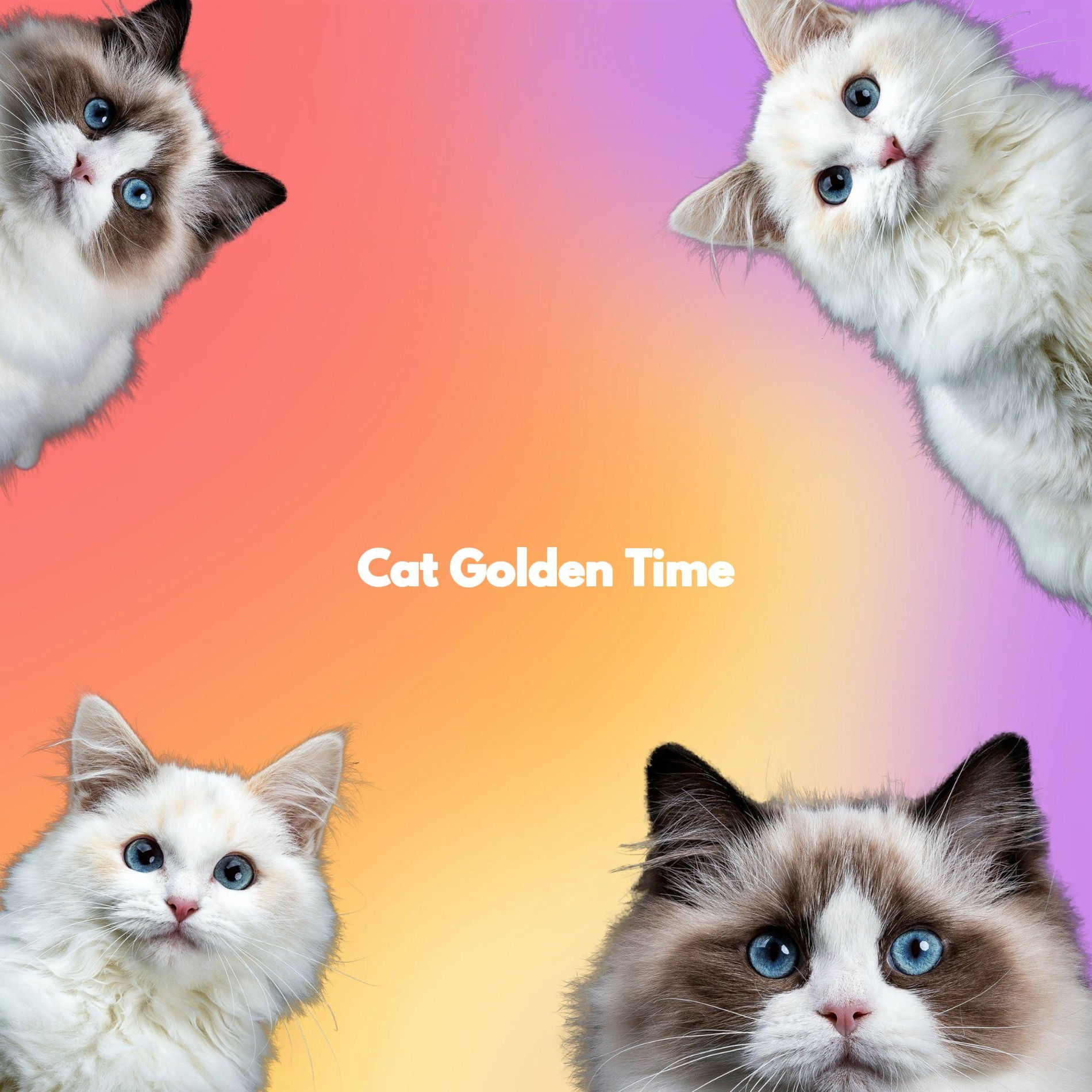 Album cover of Cat Golden Time