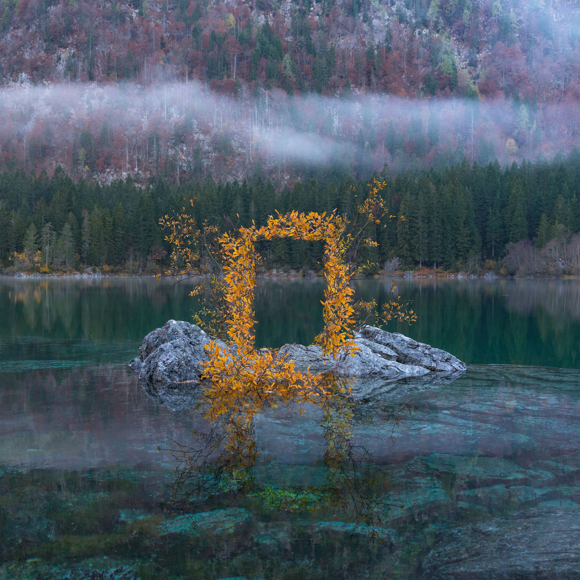 Album cover of If (feat. Milan Ring)