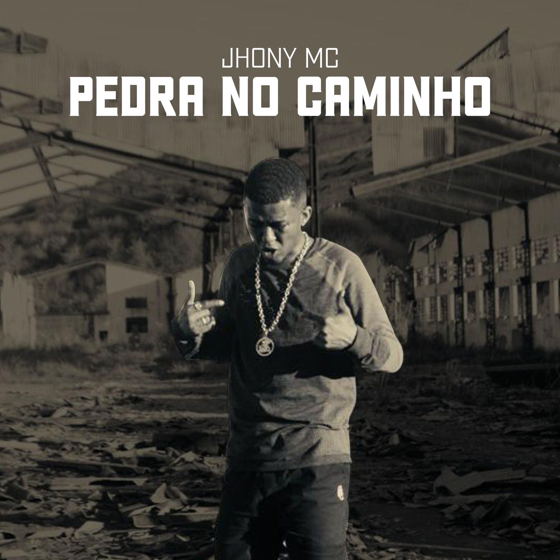Album cover of Pedra no Caminho