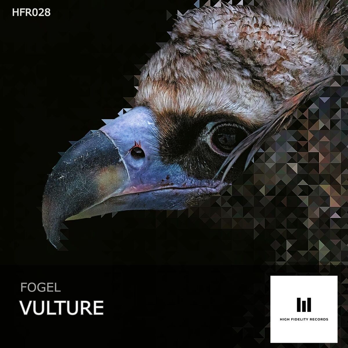 Album cover of The Vulture