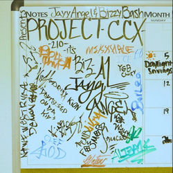 Cover of Project CCX by undefined