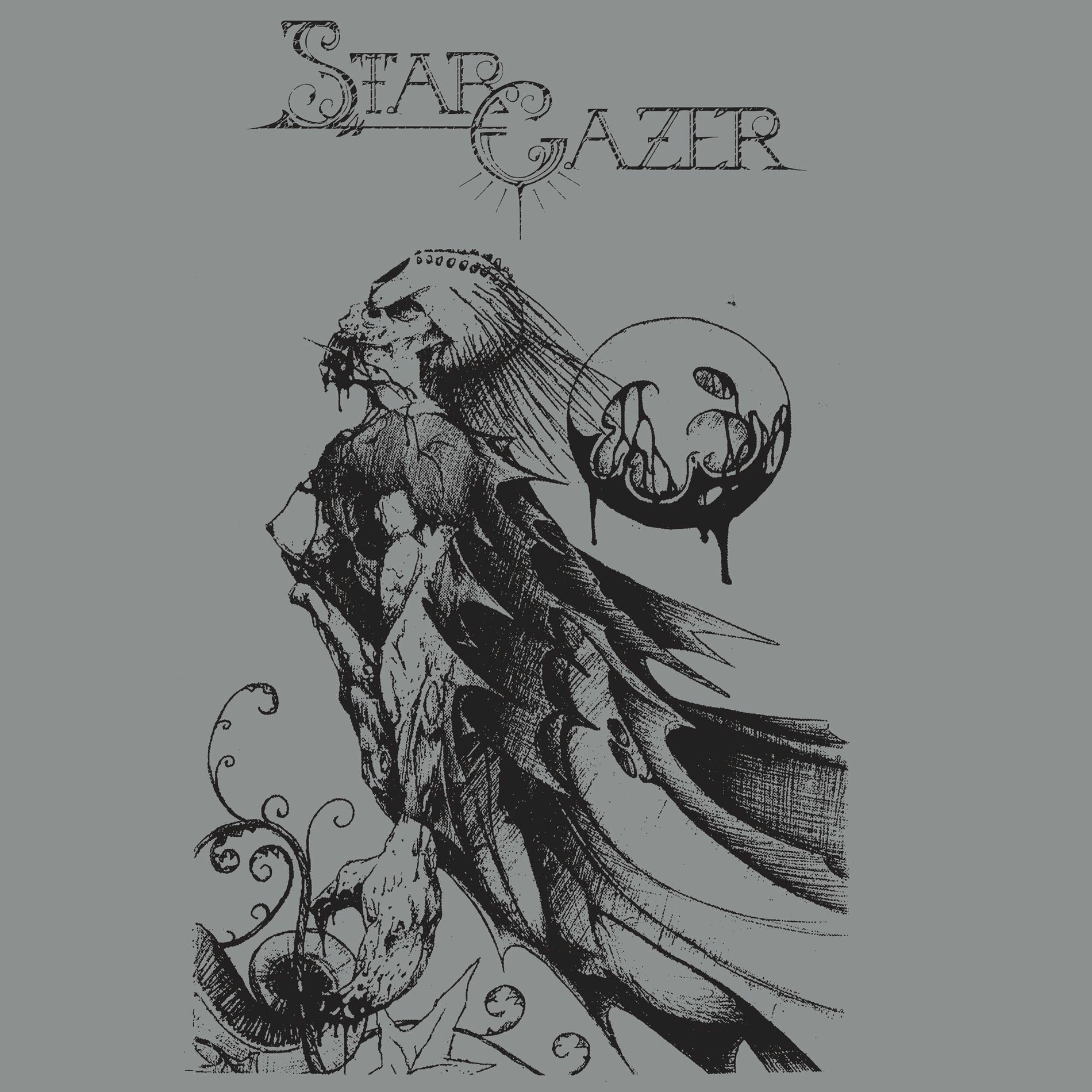 ⭐︎ レコード⭐︎ Stargazer Stargazer - Stargazer | Deezer