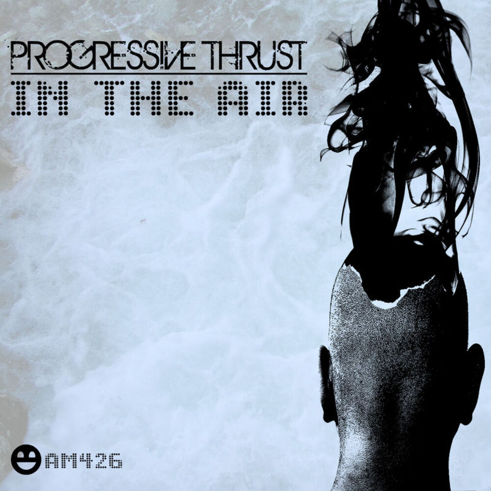 Picture of In the Air