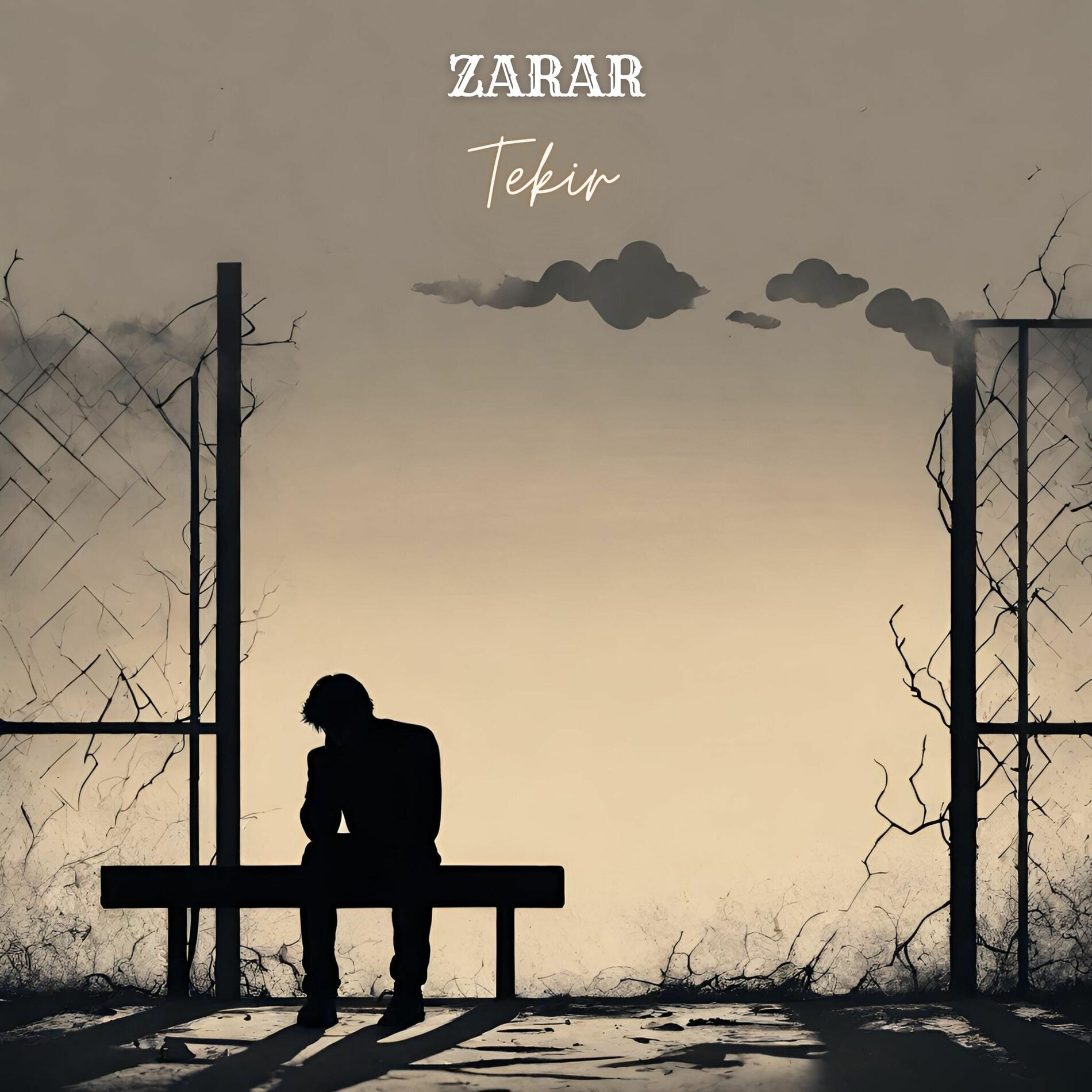 Album cover of Zarar