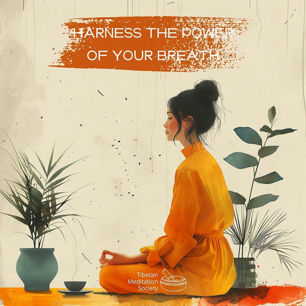 Picture of Harness the Power of Your Breath