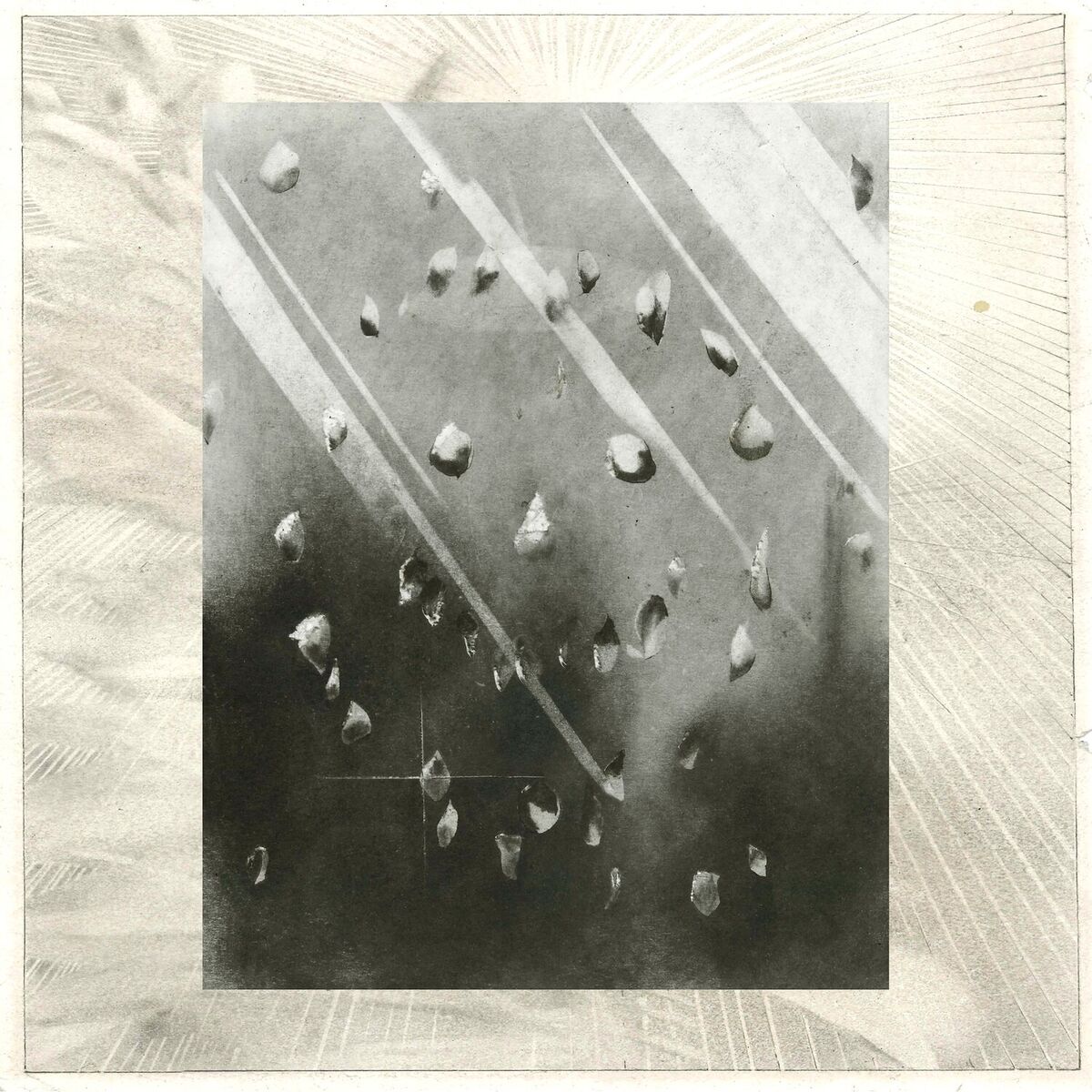 Album cover of Ámbar