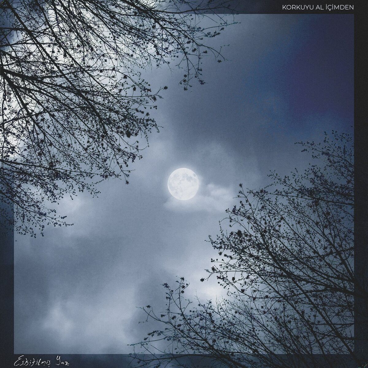 Album cover of Korkuyu Al İçimden