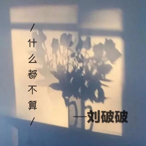 什么都不算