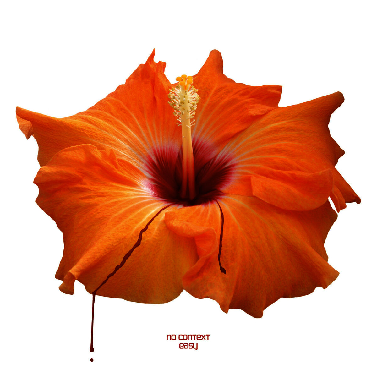 Album cover of Easy - Single