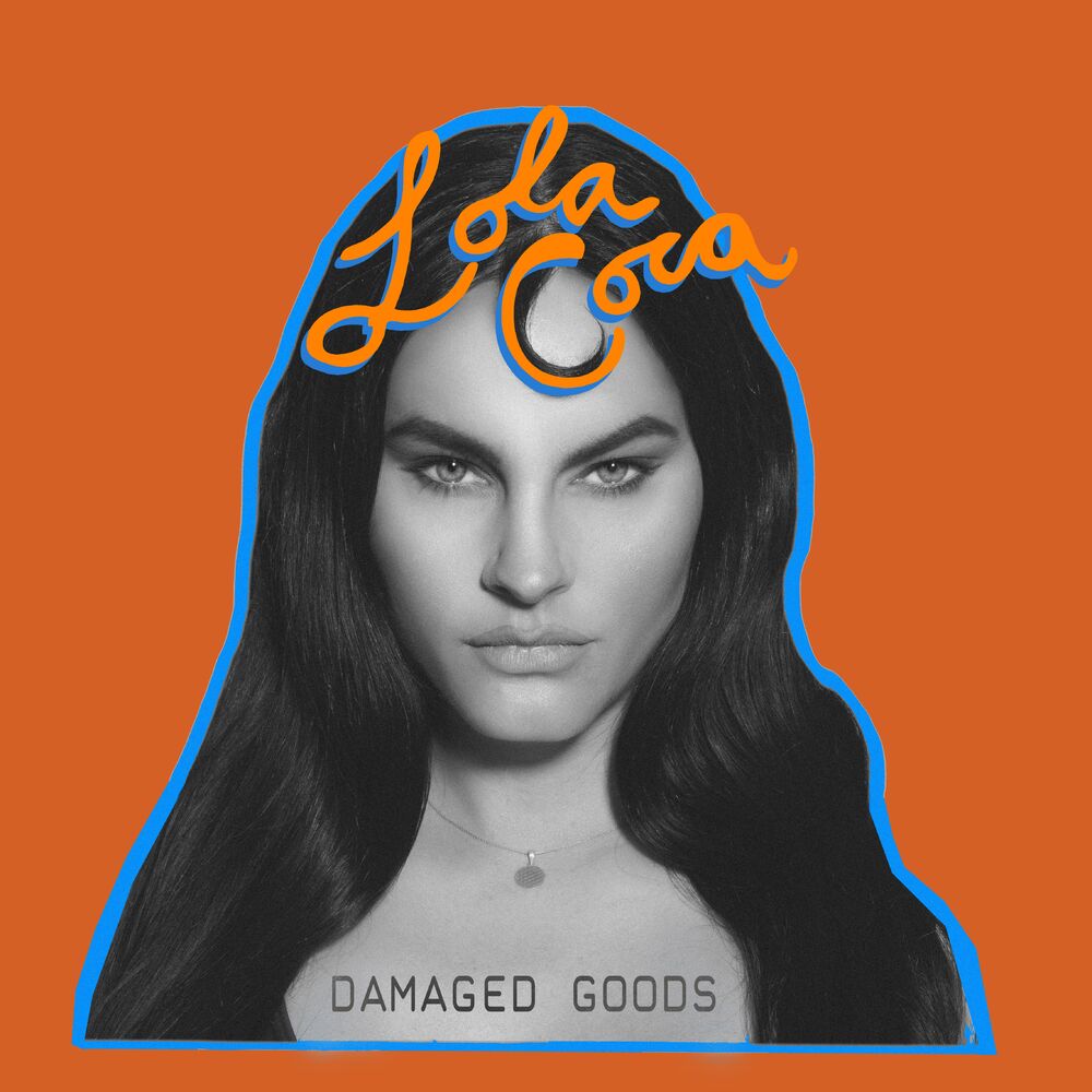 Picture of Damaged Goods