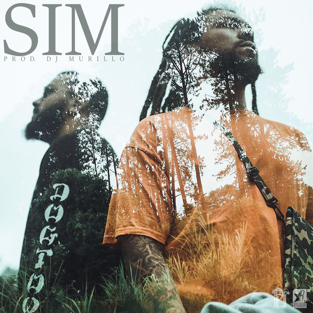 Picture of Sim