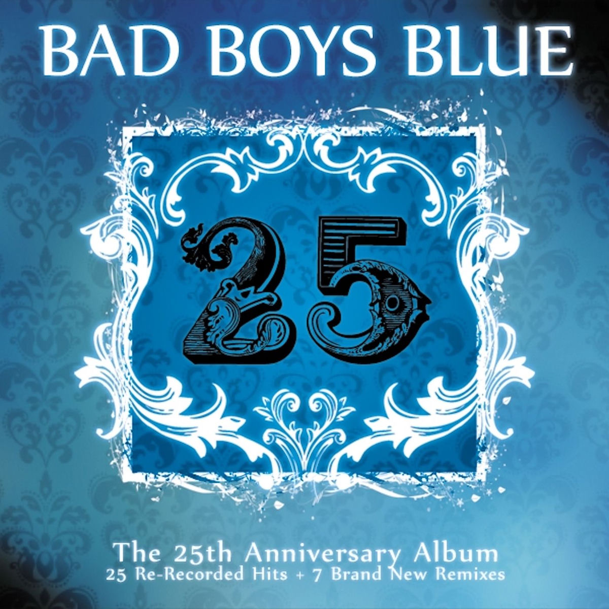Album cover of 25