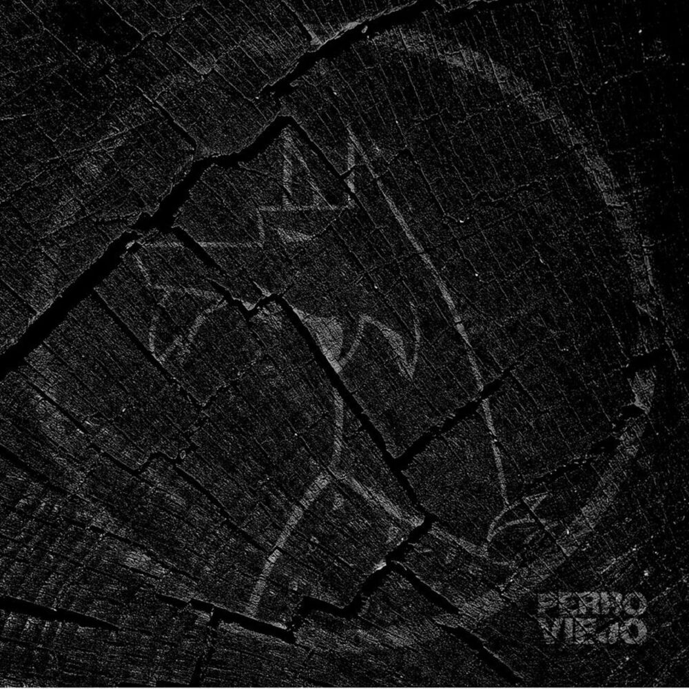 Picture of Perro Viejo