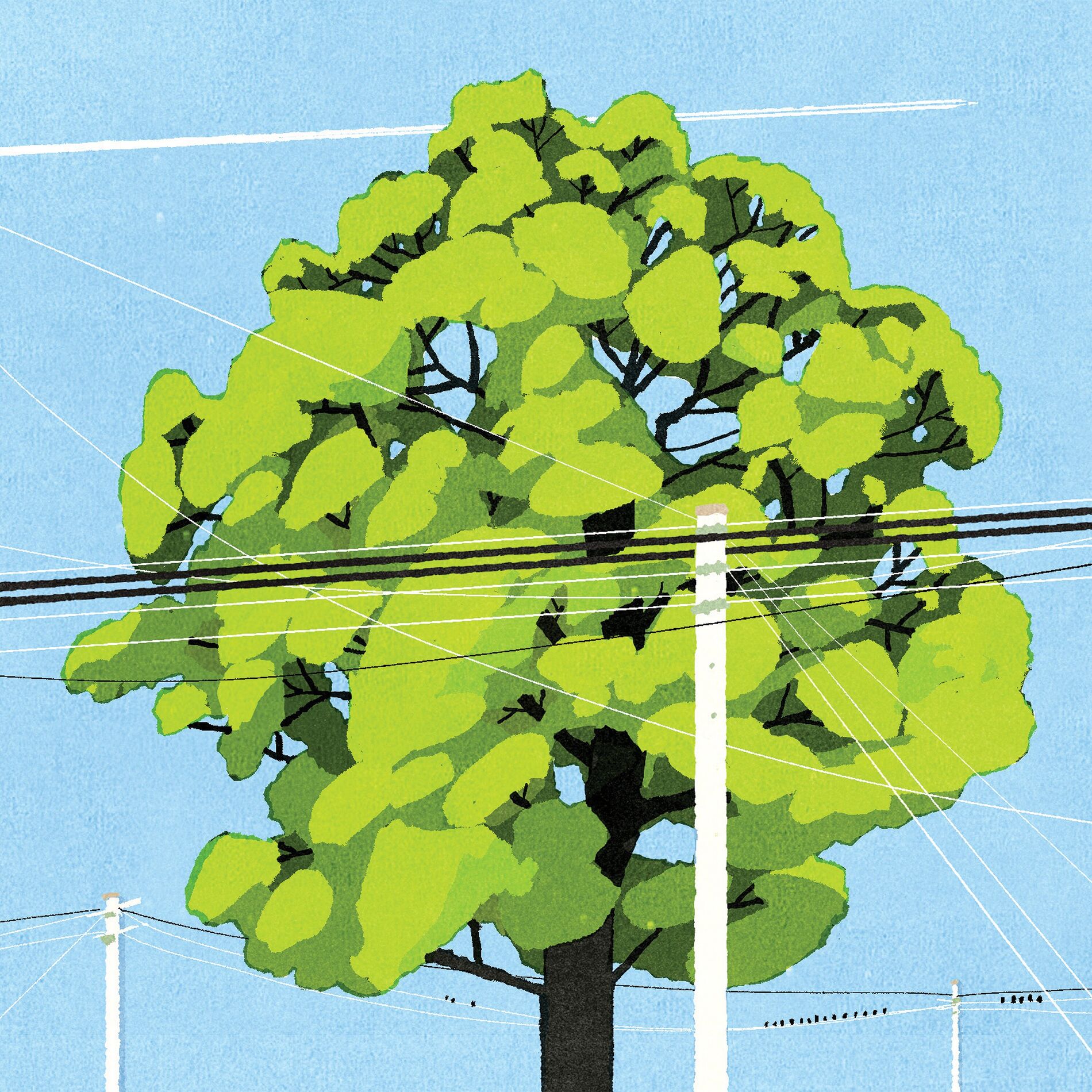 Album cover of Southwood