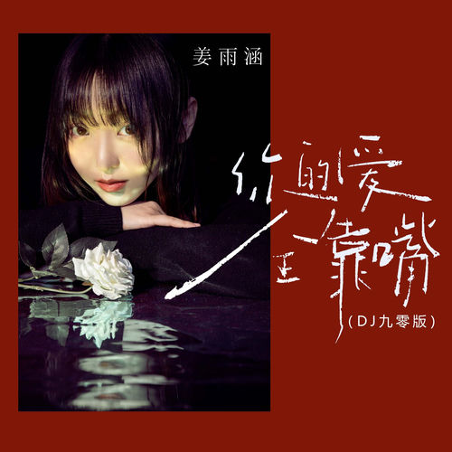 你的爱全靠嘴(DJ九零版)