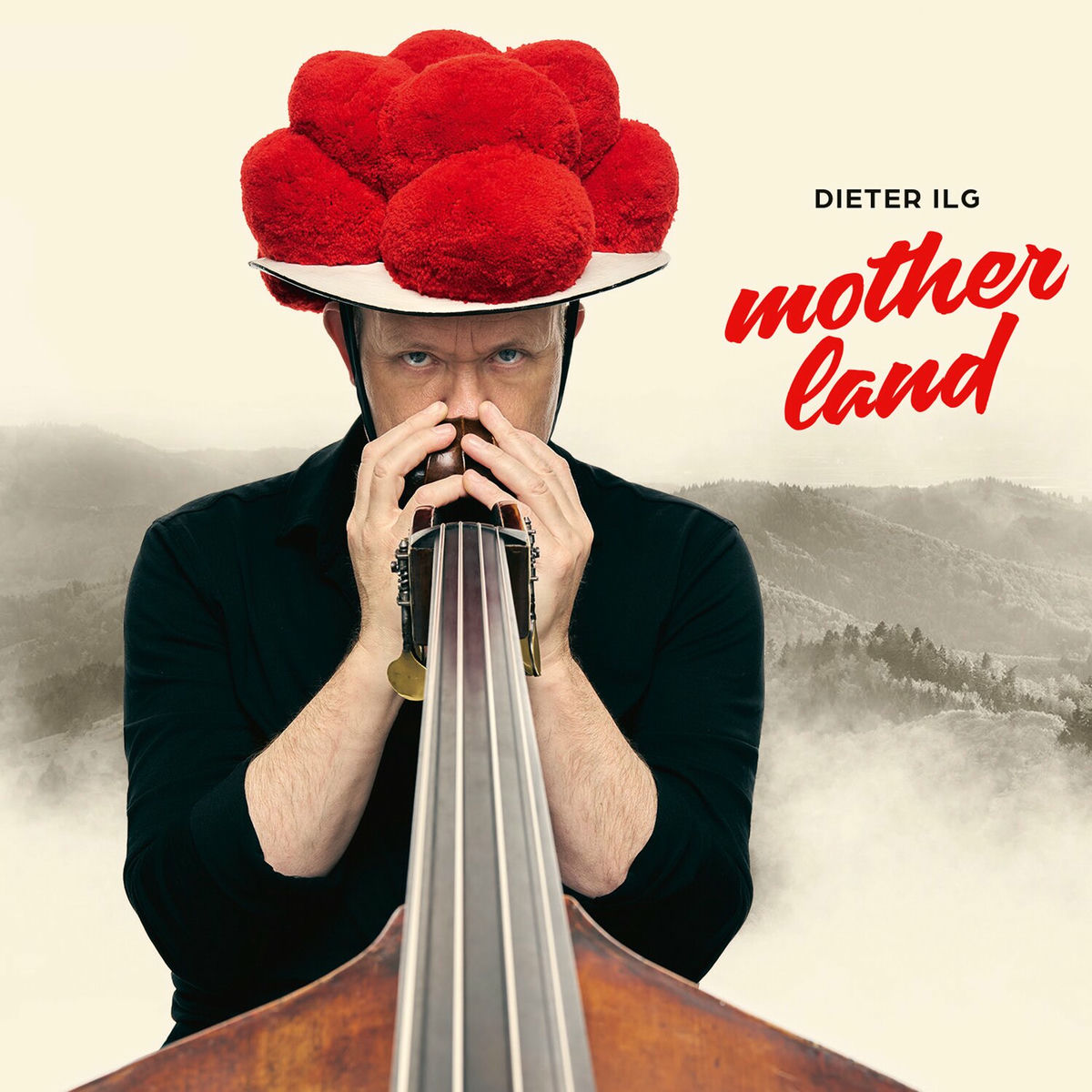 Album cover of Motherland