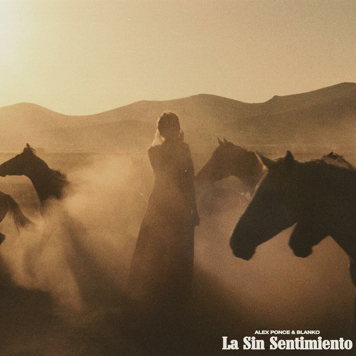 Album cover of La Sin Sentimientos