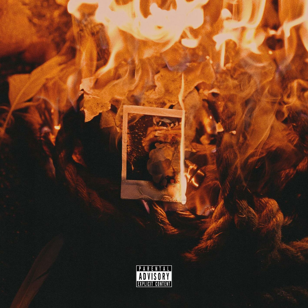Album cover of Bimba