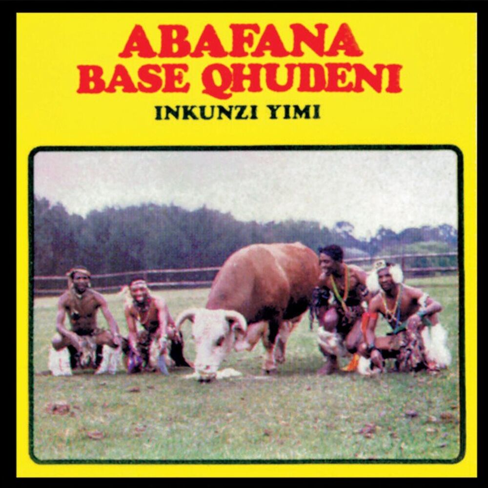 Picture of Inkunzi Yimi