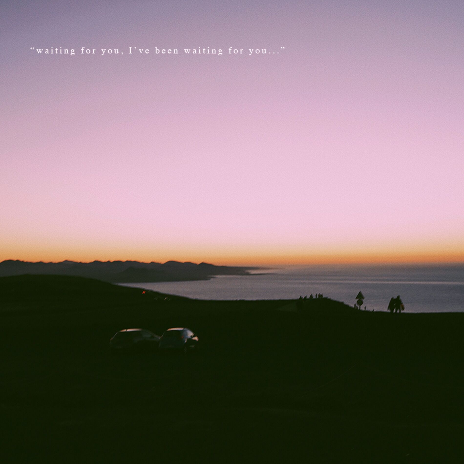 Album cover of Waiting for You