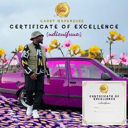 Cover of Certificate of Excellence (Ndianifuna)