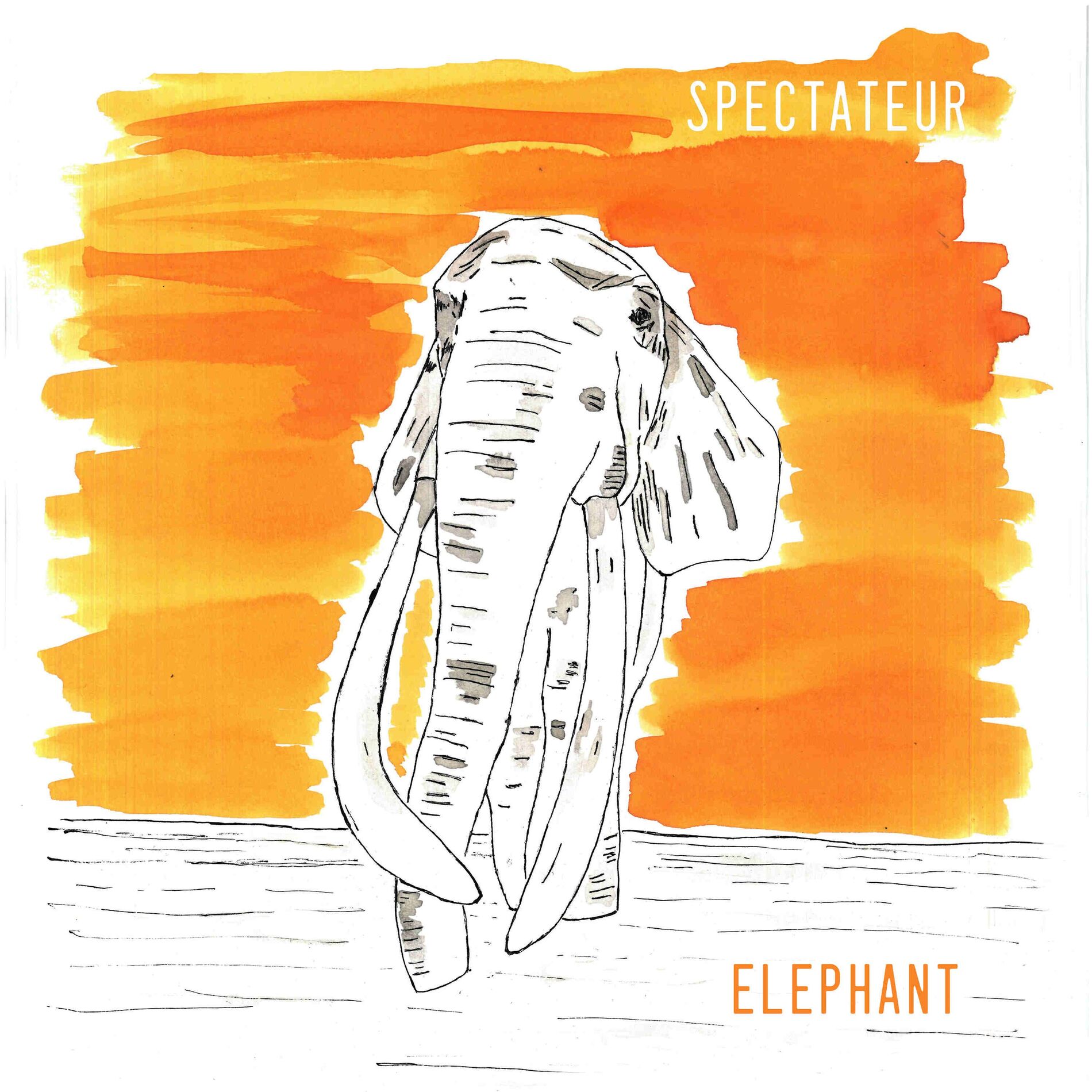 Album cover of Elephant