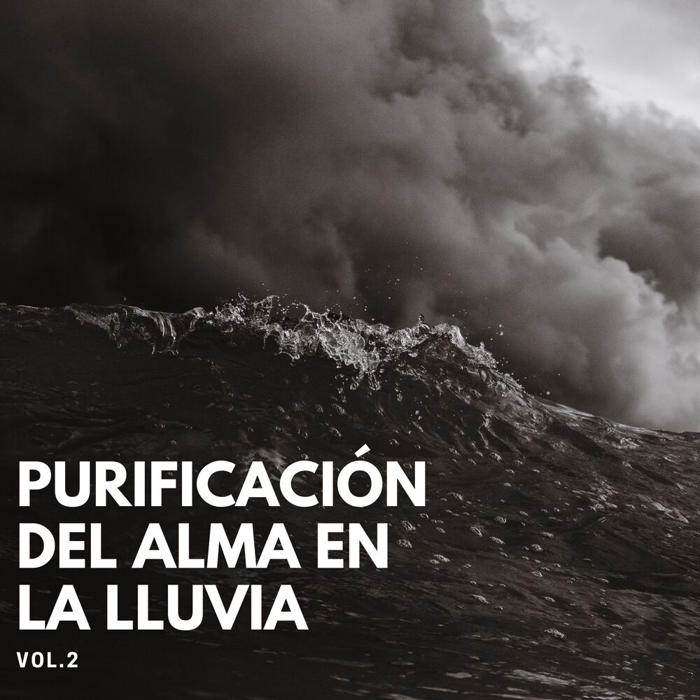 Picture of Purificación Del Alma En La Lluvia Vol. 2