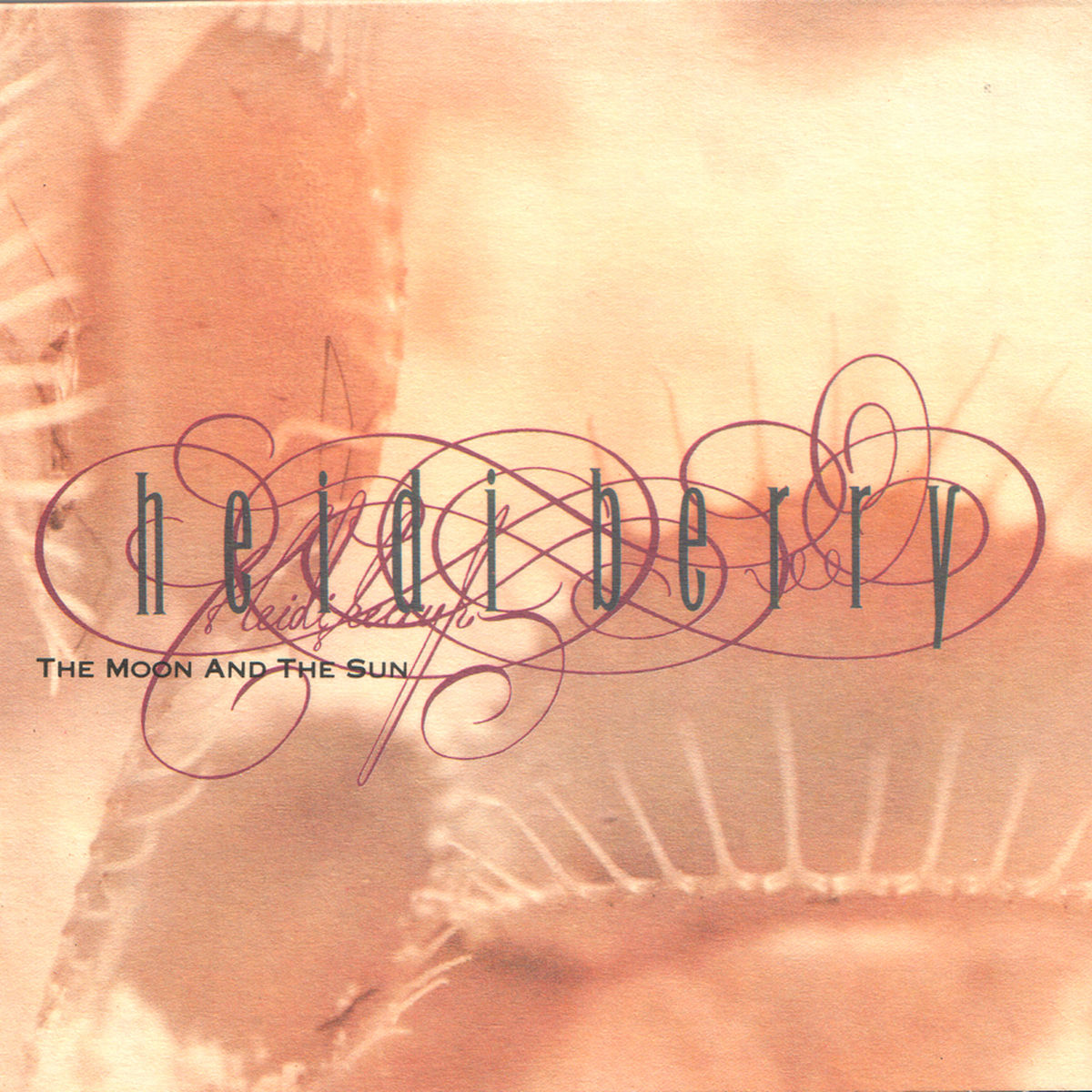 Album cover of The Moon and the Sun