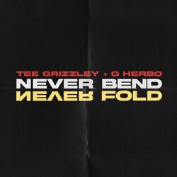 Cover of Never Bend Never Fold