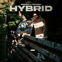 Hybrid