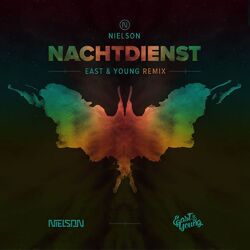 Cover of Nachtdienst