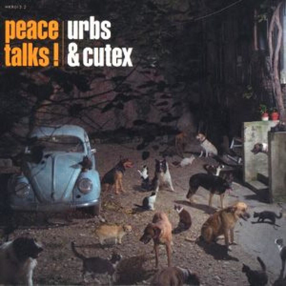 Picture of Peace Talks!