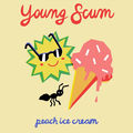 Peach Ice Cream
