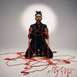 Cover of SEAMS.