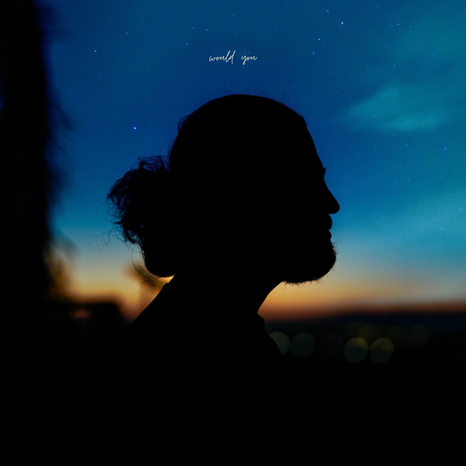 Album cover of Would You