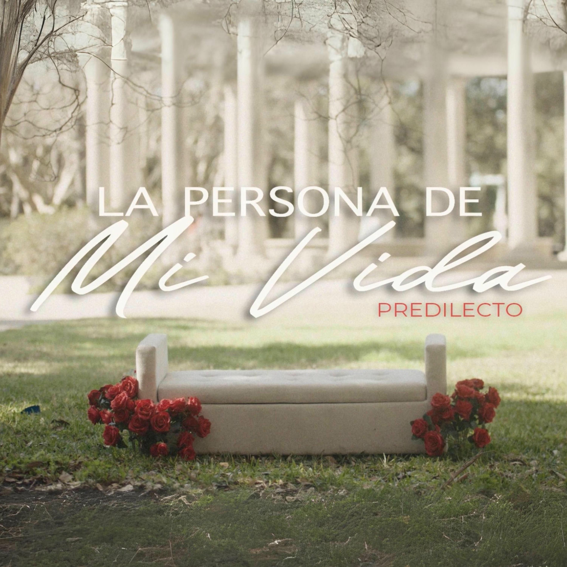 Album cover of La Persona De Mi Vida