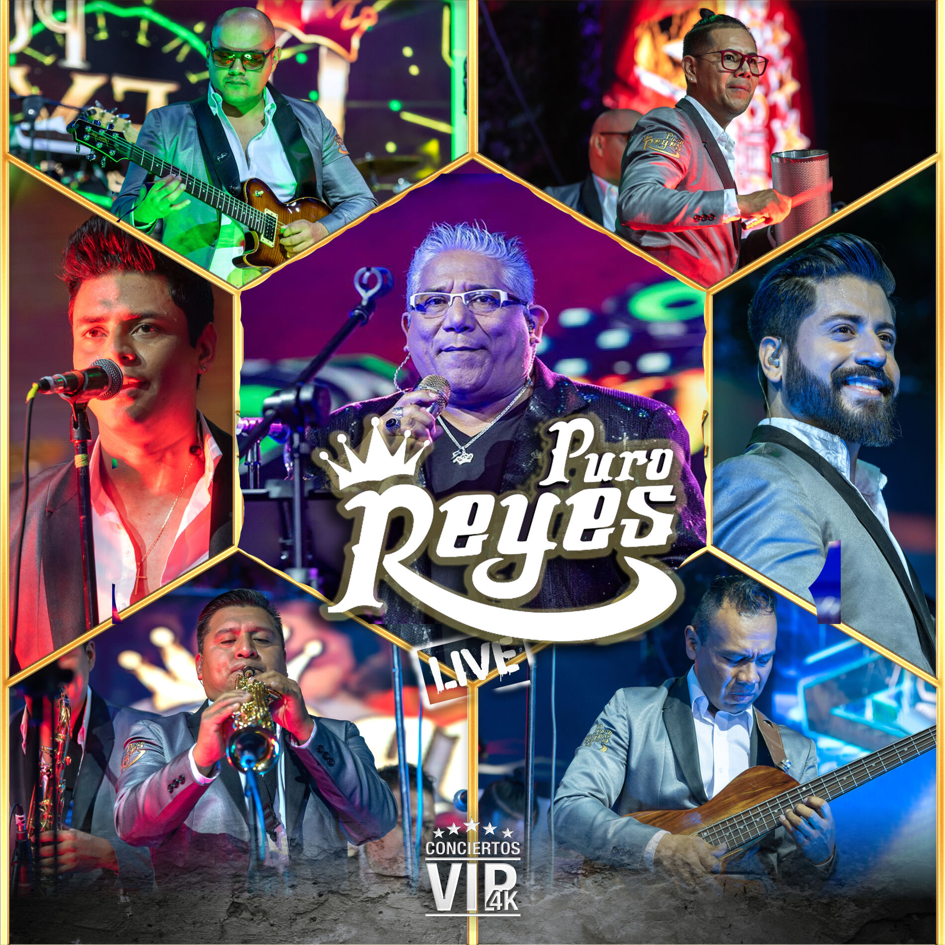 Album cover of Conciertos Vip 4K: Puro Reyes (Live)