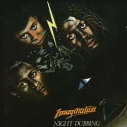 Cover of Night Dubbing