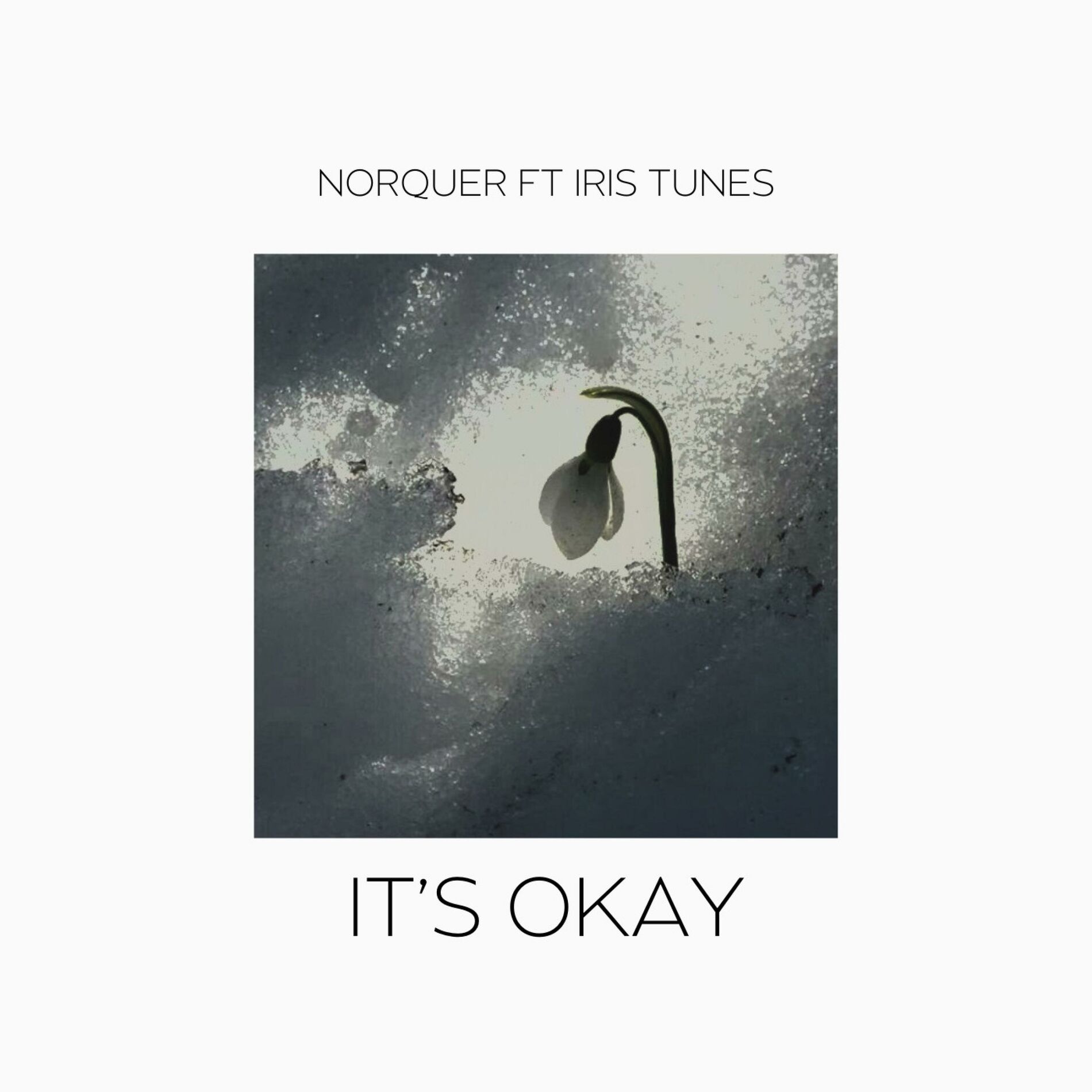 Album cover of It's okay (feat. Iris)