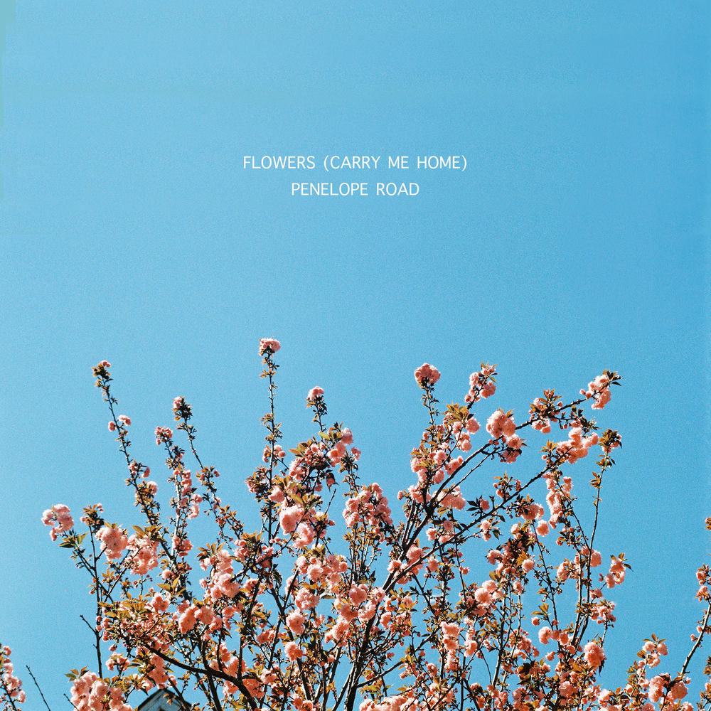 Flowers (Carry Me Home) cover