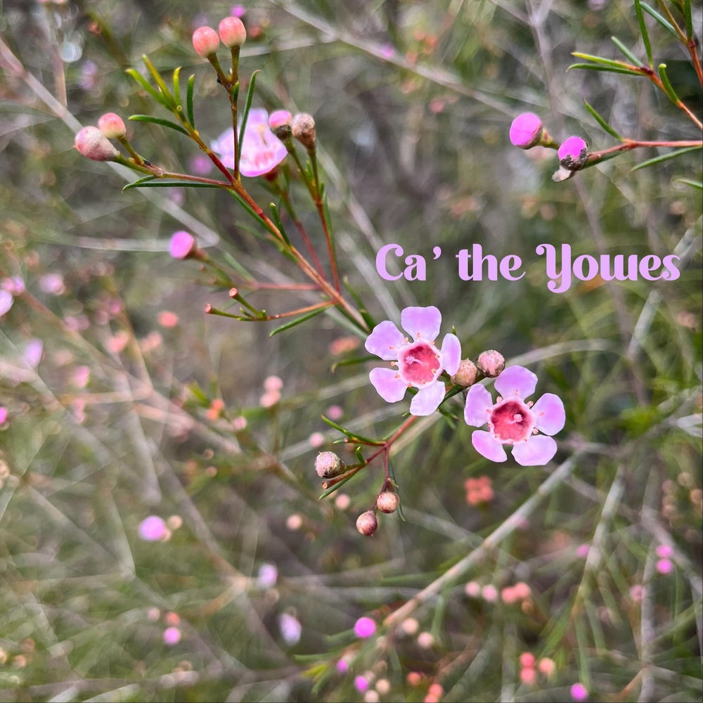 Ca' the Yowes artwork