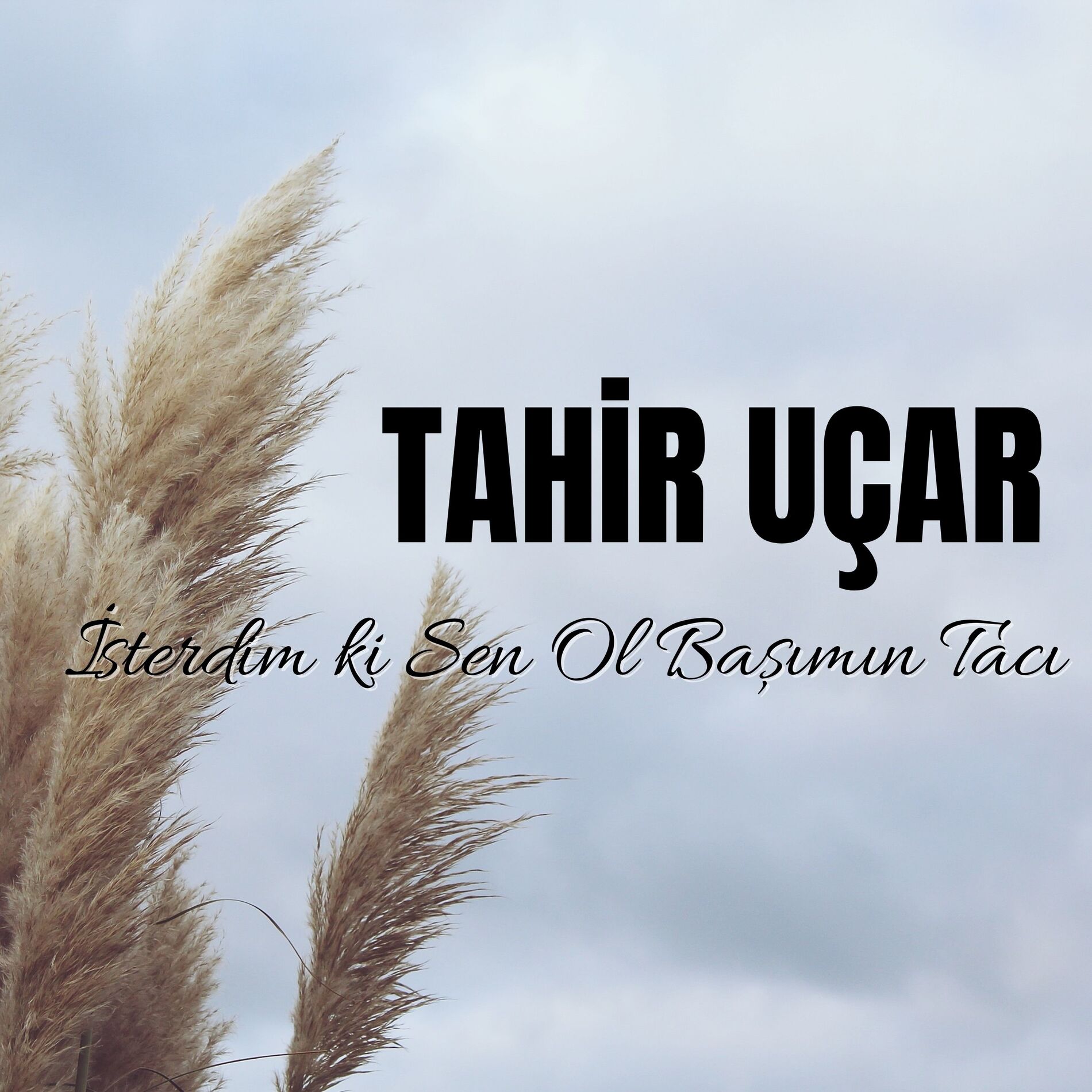 Album cover of İsterdim ki Sen Ol Başımın Tacı
