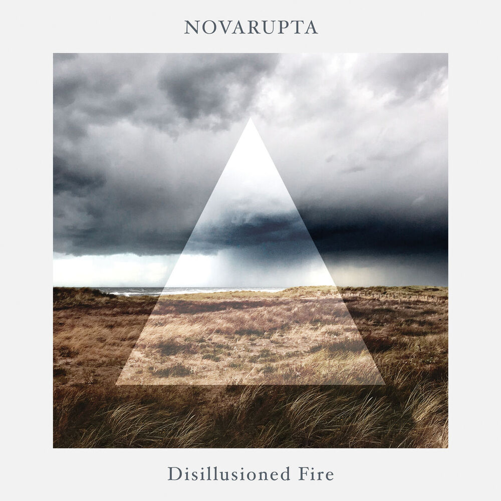 Picture of Disillusioned Fire