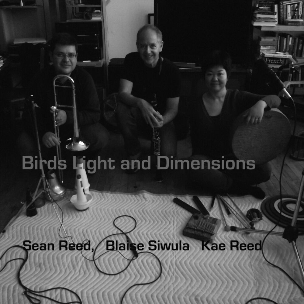Picture of Birds Light and Dimensions