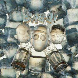Cover of SAGGI