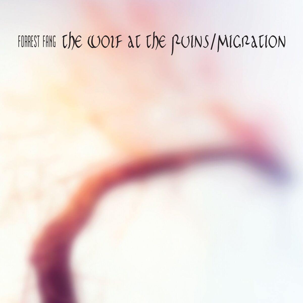 Album cover of The Wolf at the Ruins / Migration
