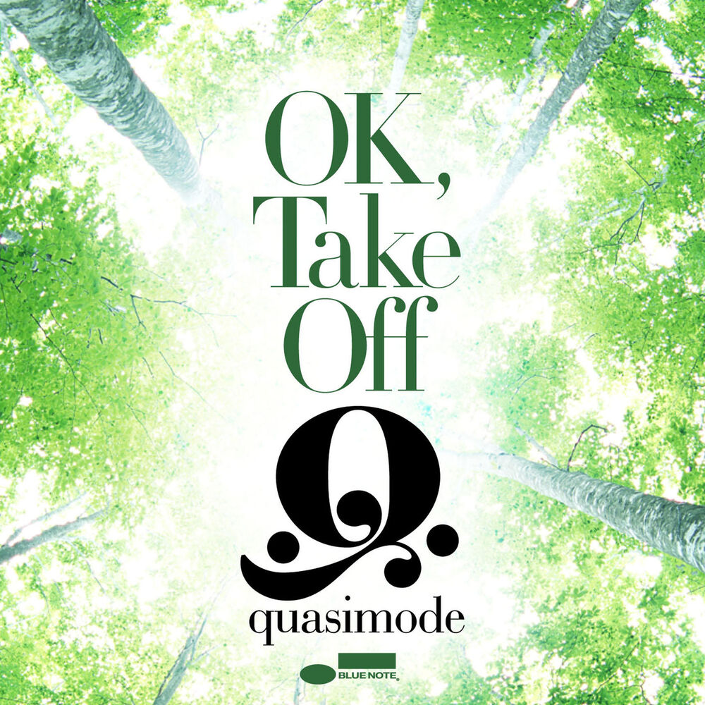 Picture of OK, Take Off