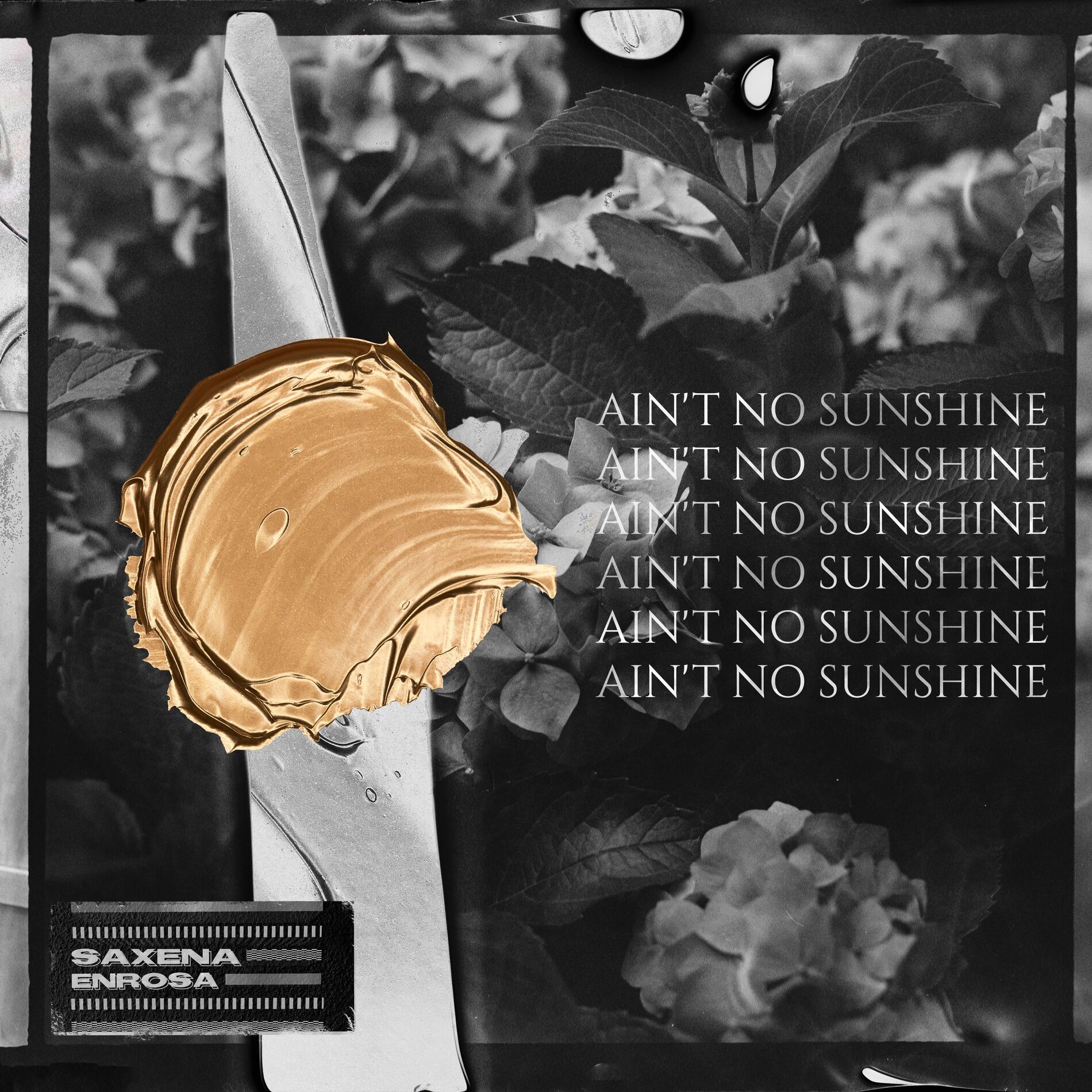 Album cover of Ain't No Sunshine