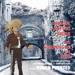 Cover of Canta Los Huapangos De Oro De Ruben Fuentes
